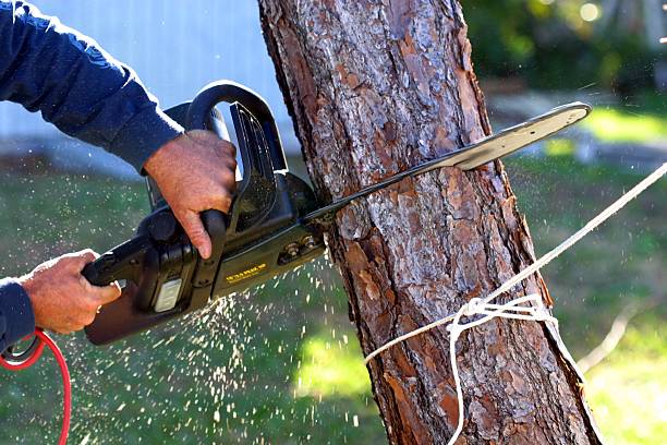 Lawn Irrigation Installation and Maintenance in Westmoreland, TN